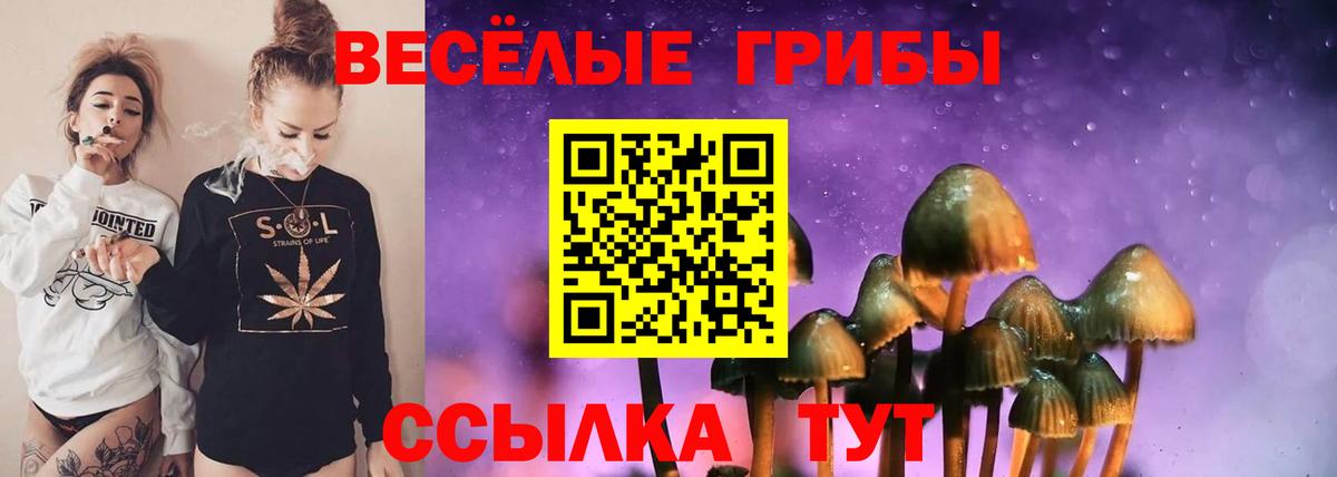 Псилоцибиновые грибы прущие грибы Крымск